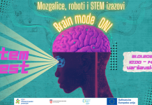 STEM FEST #10: Brain Mode ON!